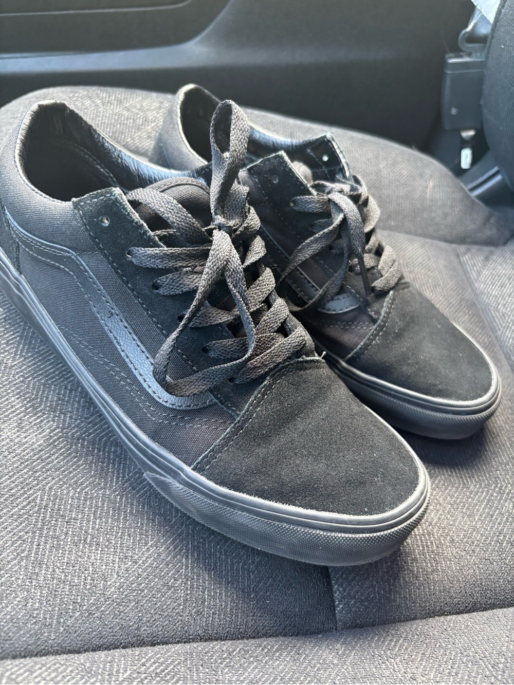 Vans Black Low-Top Skate Sneakers with Subtle Side Stripe